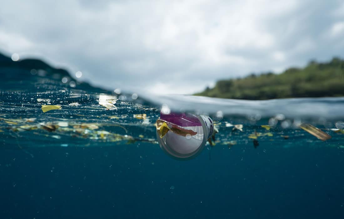 Processo di transizione ecologica per garantire uno sviluppo sociale sostenibile